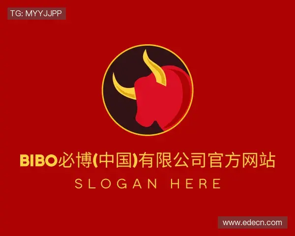 关于bibo必博